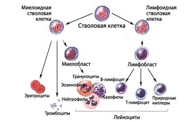 Сборник заданий для подготовки к ЕГЭ